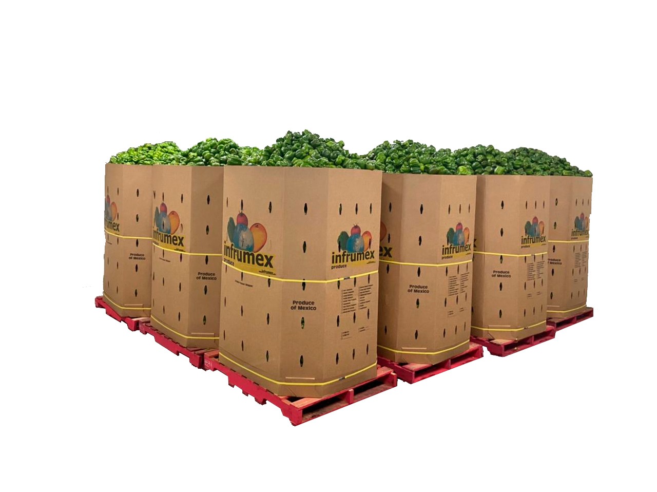 Contenedores Infrumex con vegetales verdes
